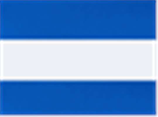 Swatch for Royal/ White/ Royal