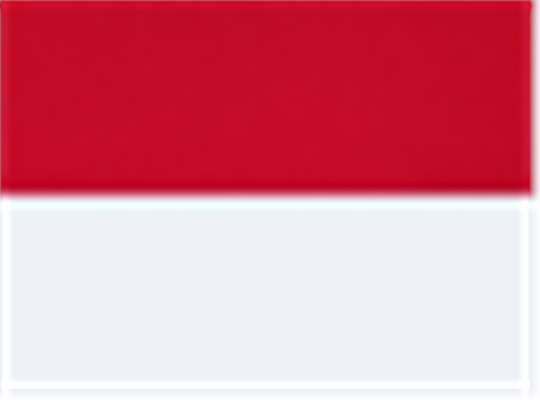 Swatch for Scarlet/ White