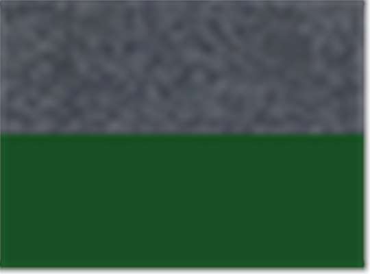 Swatch for Carbon Print/ Forest