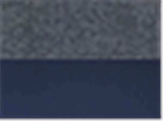 Swatch for Carbon Print/ Navy