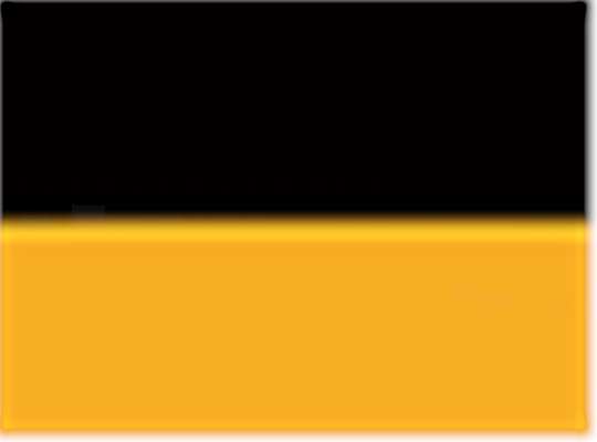 Swatch for Black/ Light Gold
