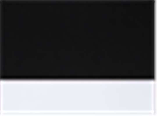 Swatch for Black/ Black/ White