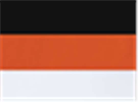 Swatch for Black/ Orange/ White