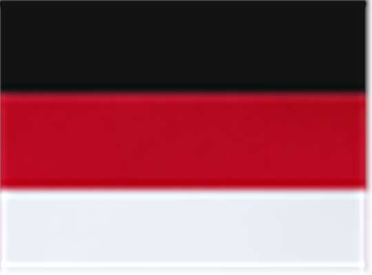 Swatch for Black/ Scarlet/ White