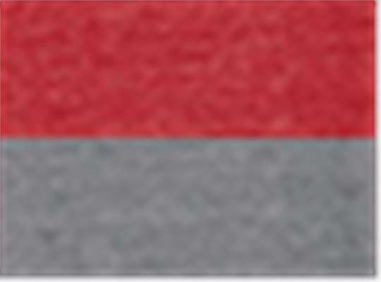 Swatch for Vintage Scarlet/ Vintage Grey