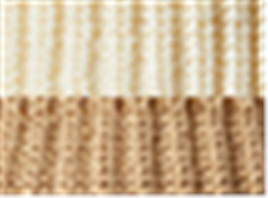 Swatch for Cream/ Mocha