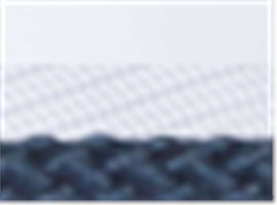 Swatch for White/ White/ Navy