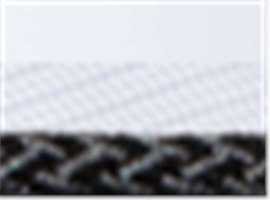 Swatch for White/ White/ Black