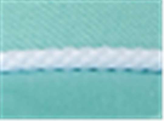 Swatch for Sea Green/ White