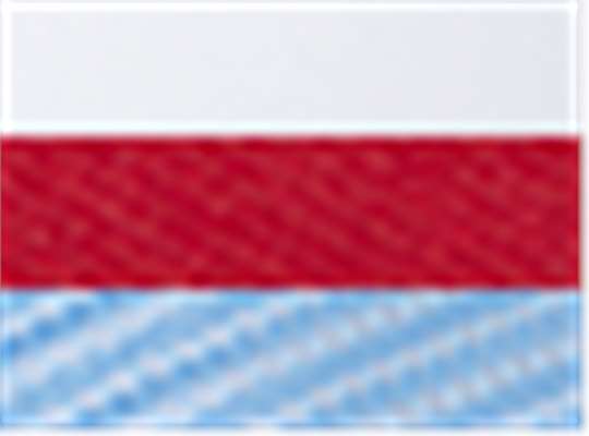 Swatch for White/ Red/ Sky Blue
