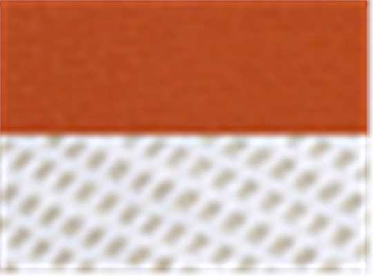 Swatch for Burnt Orange/ White