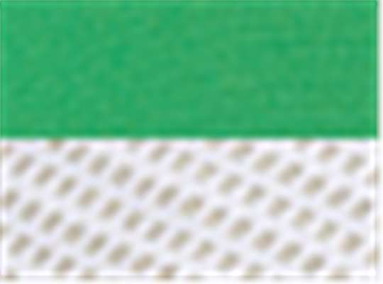 Swatch for Grass/ White