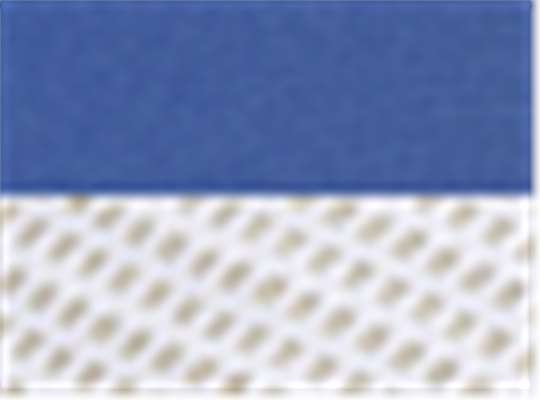Swatch for Cobalt Blue/ White