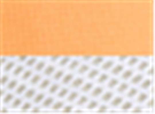 Swatch for Melon Orange/ White