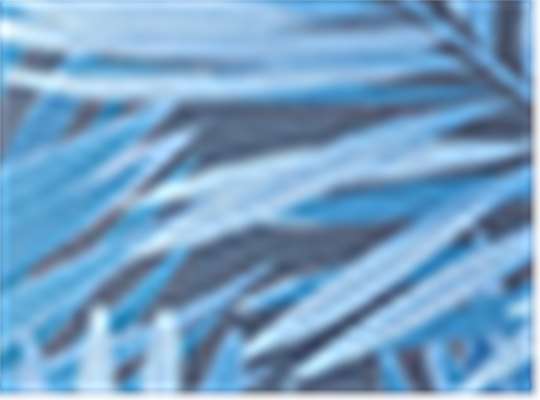 Swatch for Blue Hawaiin