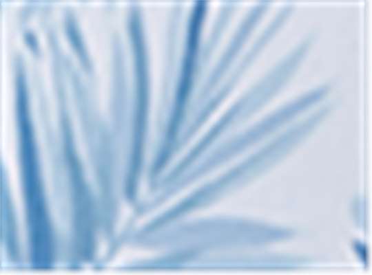 Swatch for Floral Mist