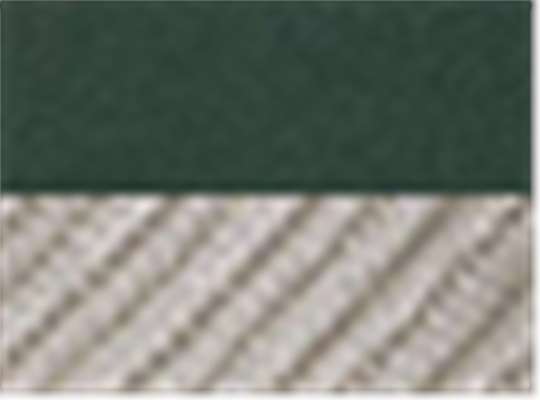 Swatch for Forest/ Khaki