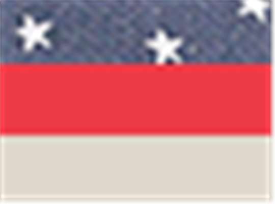 Swatch for Freedom