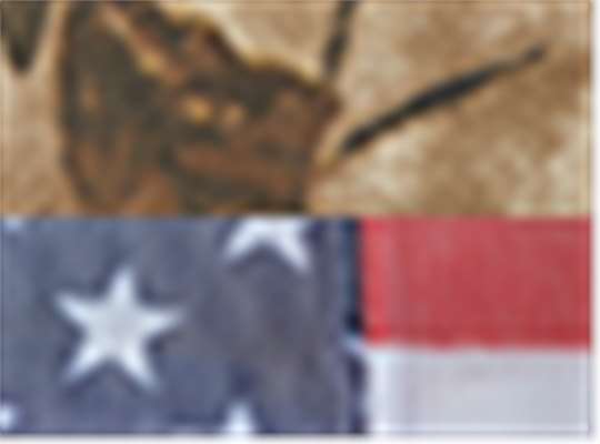 Swatch for All Purpose/ Usa Flag