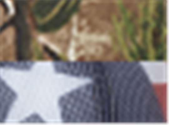 Swatch for All Purpose/ Texas Flag