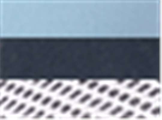 Swatch for Light Blue/ Navy/ White