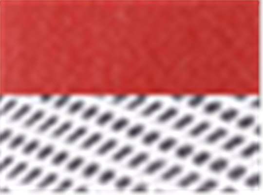 Swatch for Melange Scarlet/ White