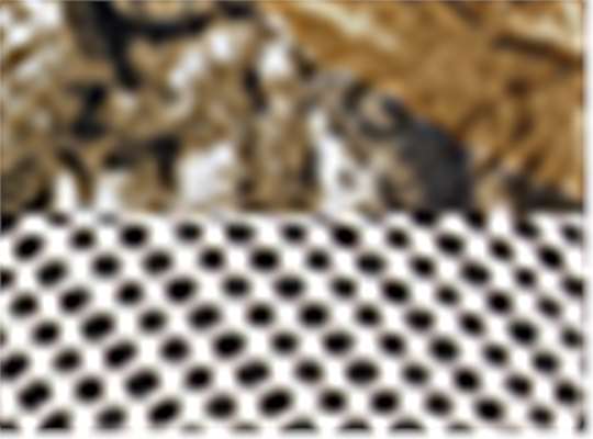 Swatch for Realtree Edge/ Stone