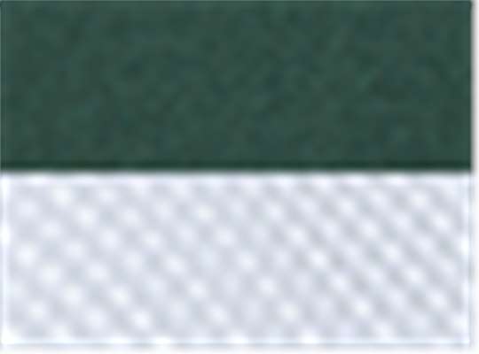 Swatch for Dark Green/ White