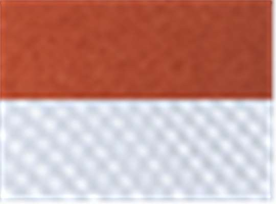 Swatch for Texas Orange/ White
