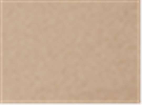 Swatch for Tan