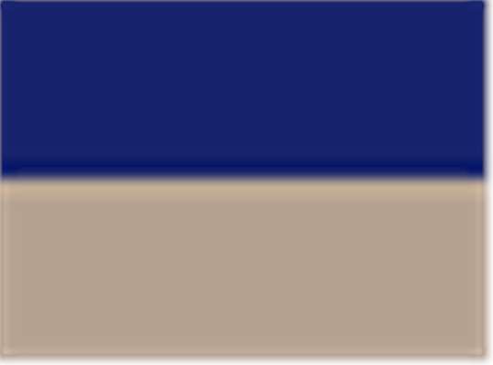 Swatch for Royal/ Khaki