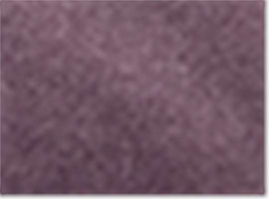 Swatch for Wild Plum