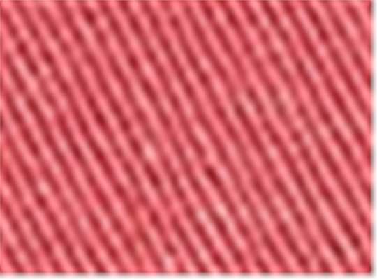 Swatch for Poppy