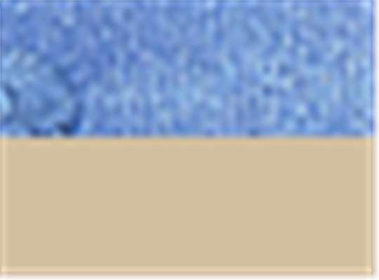 Swatch for Royal/ Tan