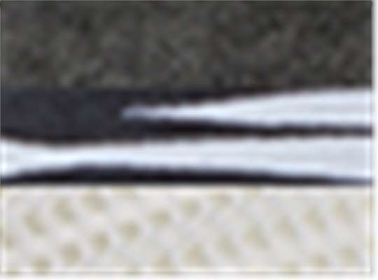 Swatch for Black/ Zebra/ White