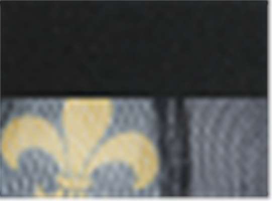 Swatch for Black/ Black/ Fleur De Lis