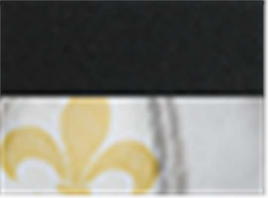 Swatch for Black/ Vegas Gold/ Fleur De Lis
