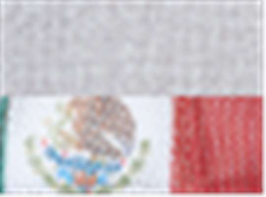 Swatch for Heather Grey/ Red/ Mexico Flag
