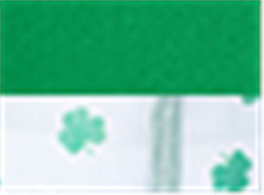 Swatch for Kelly Green/ White/ Clover