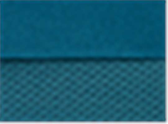 Swatch for Teal/ Teal Mesh