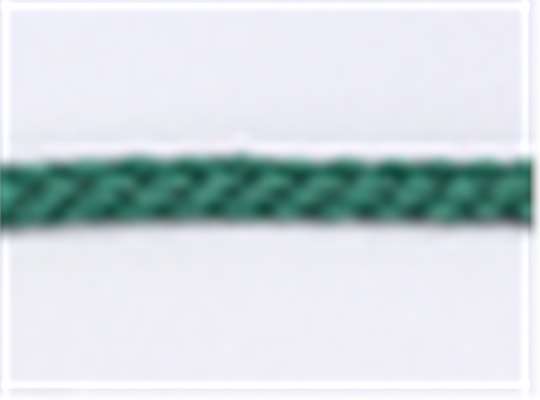 Swatch for White/ Dark Green