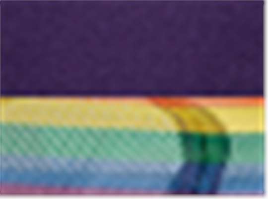 Swatch for Purple/ Rainbow