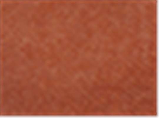 Swatch for Texas Orange