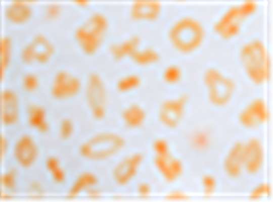 Swatch for Beach Orange