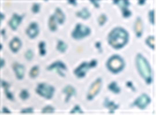 Swatch for Beach Blue