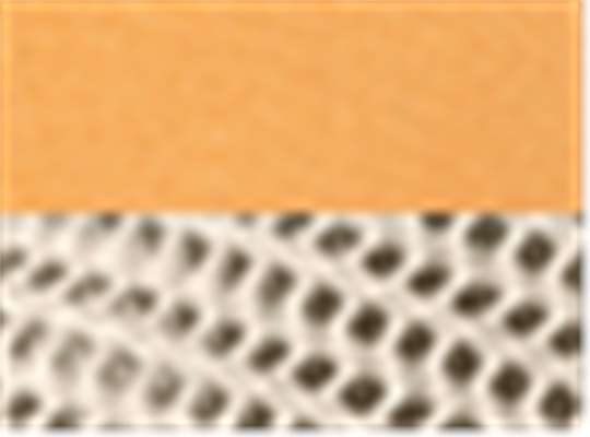 Swatch for Peach/ Stone