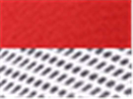 Swatch for Scarlet Red/ White