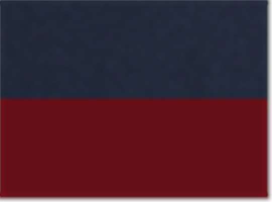 Swatch for Midnight Navy/ Cardinal