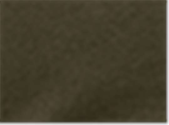 Swatch for Brushed Dark Olive Green