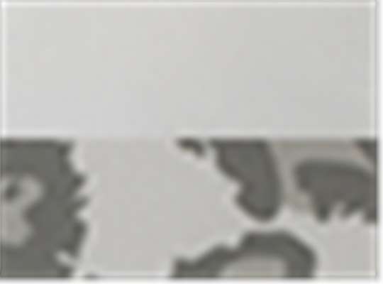 Swatch for Light Grey/ Snow Leopard